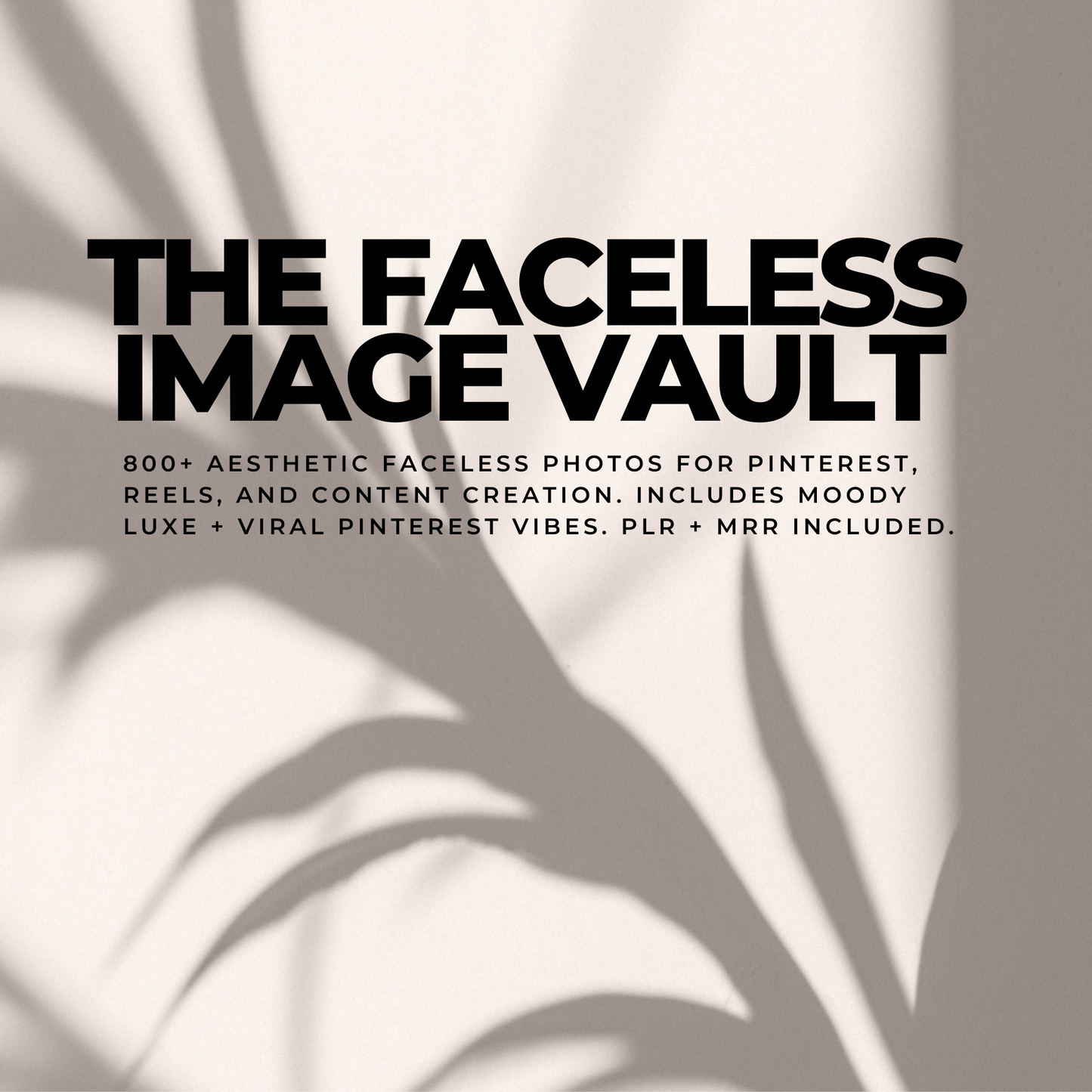 The Faceless Image Vault
